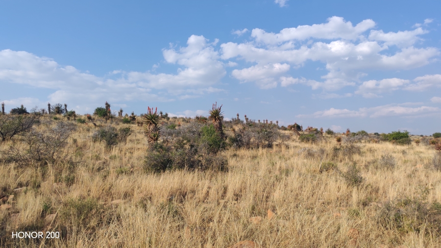 0 Bedroom Property for Sale in Cradock Eastern Cape